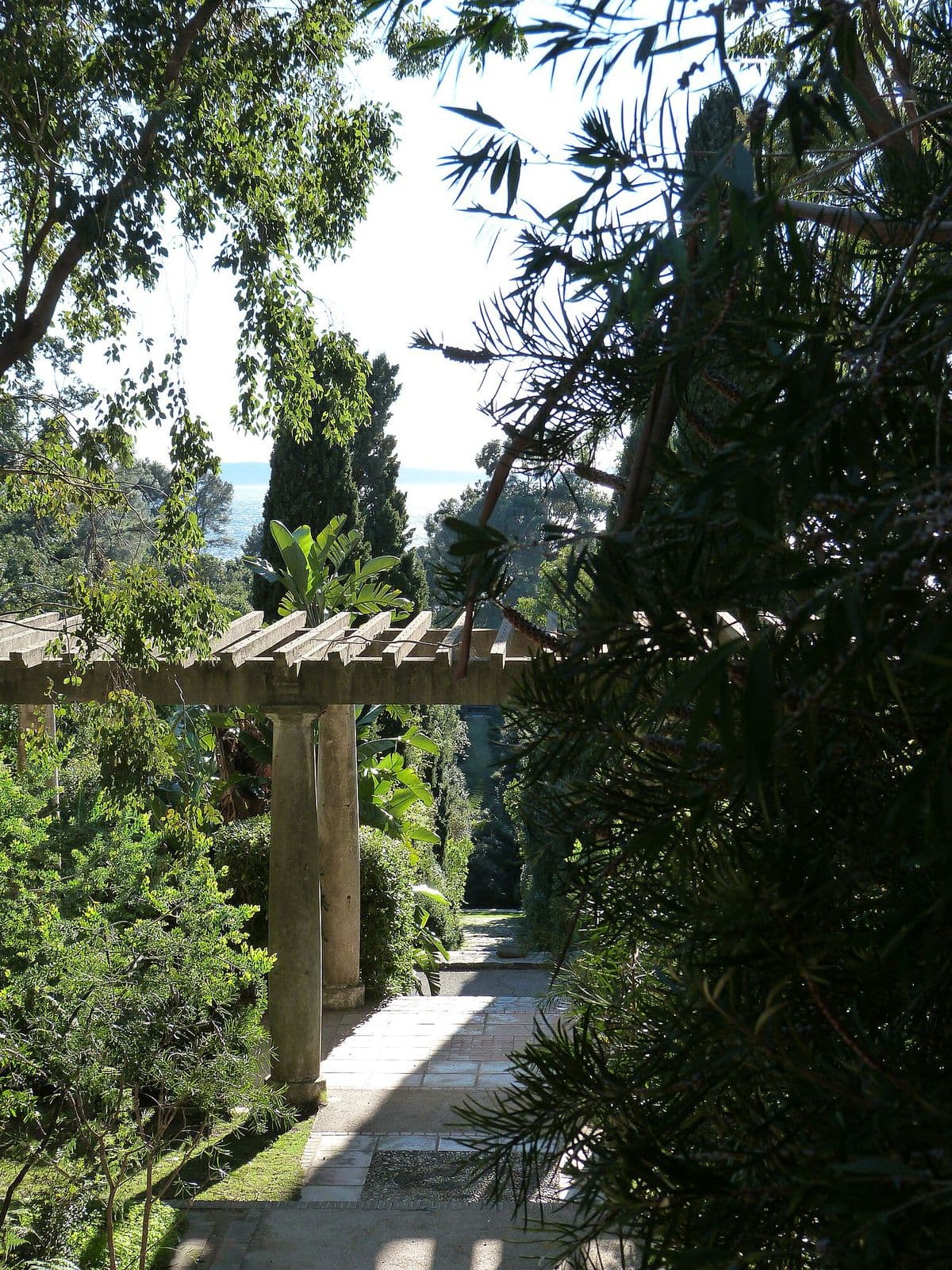 Allée dallée sous une pergola en bois, entre palmiers et arbustes méditerranéens