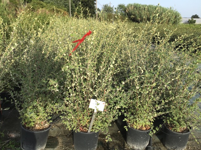 20210814135524928262