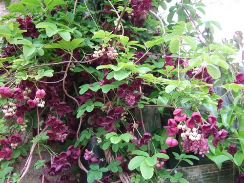 20221223001849001917