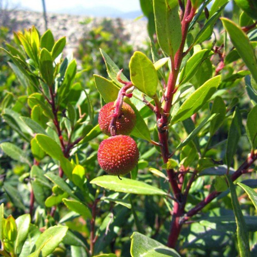 20221223001853909993