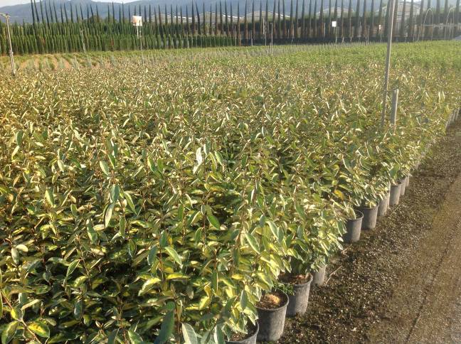 20240319170821342287