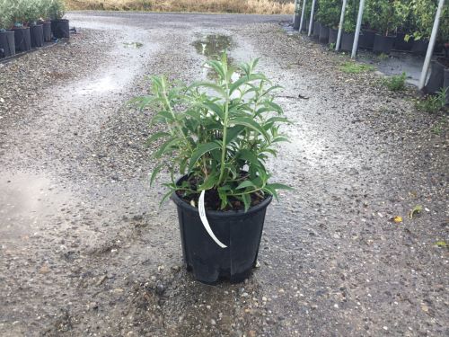 20240522105100343871