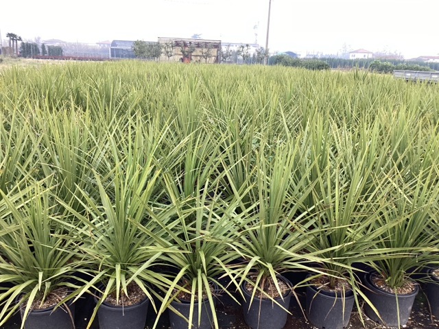 20241219105502667076