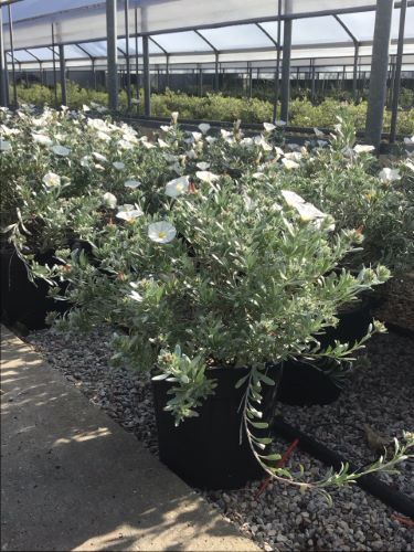 20250405105038708885