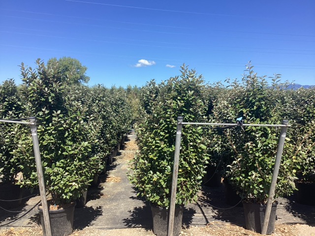 20250830105528224639