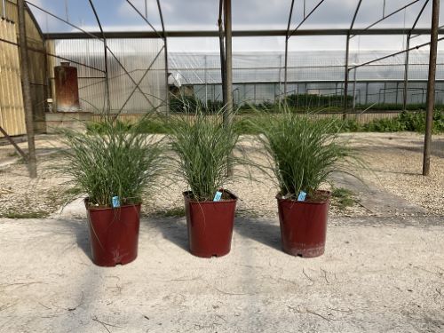 20220428085755330598