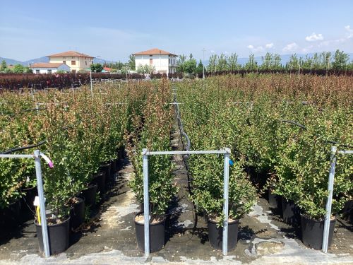 20220615165559659372