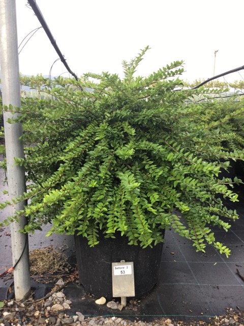 20221011105417210706