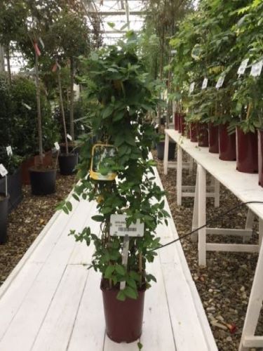 20221223001424810811