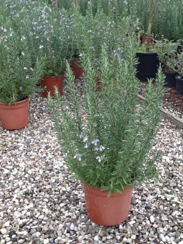 20221223001620374375