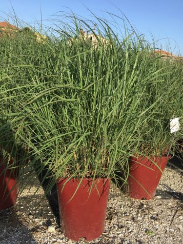 20230228185036225442