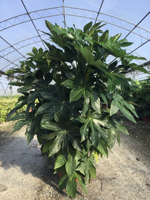 20230516125030024546