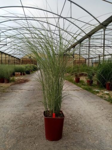 20230525125035039255