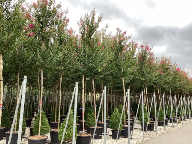 20240817130759602823