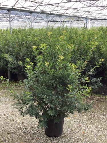 20241009185036027675