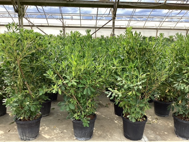 20250819105459798965