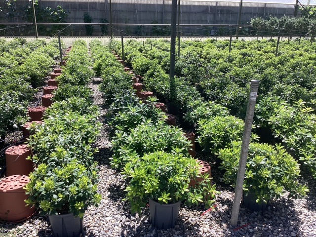 20250830105538046689