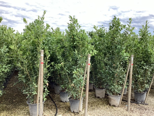 20250830110215338413