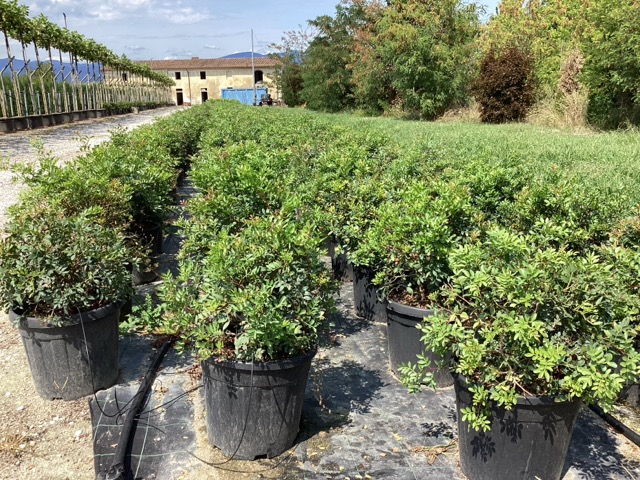 20250830110323450121