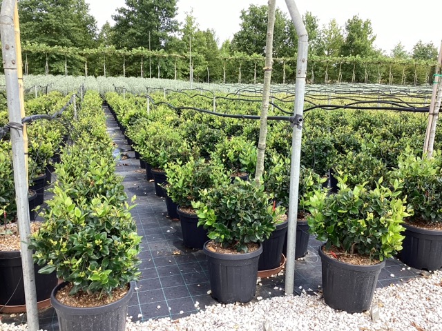 20250830110329032608