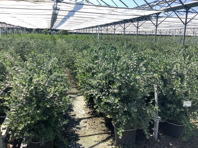 20250830110448920852