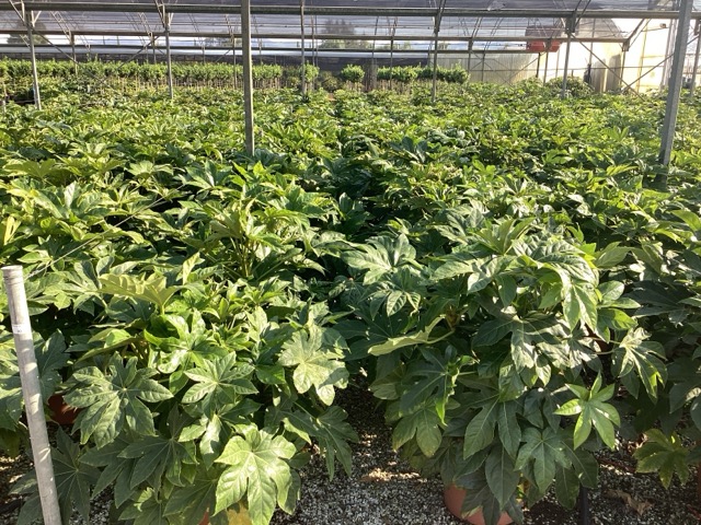 20250830110524168320