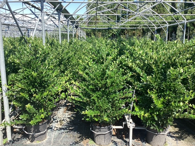 20251124165107632267