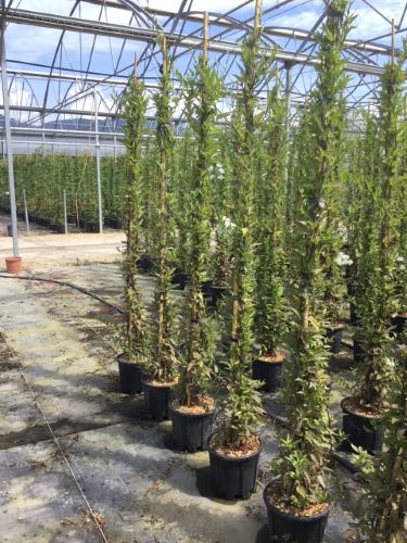 20230612085047304800